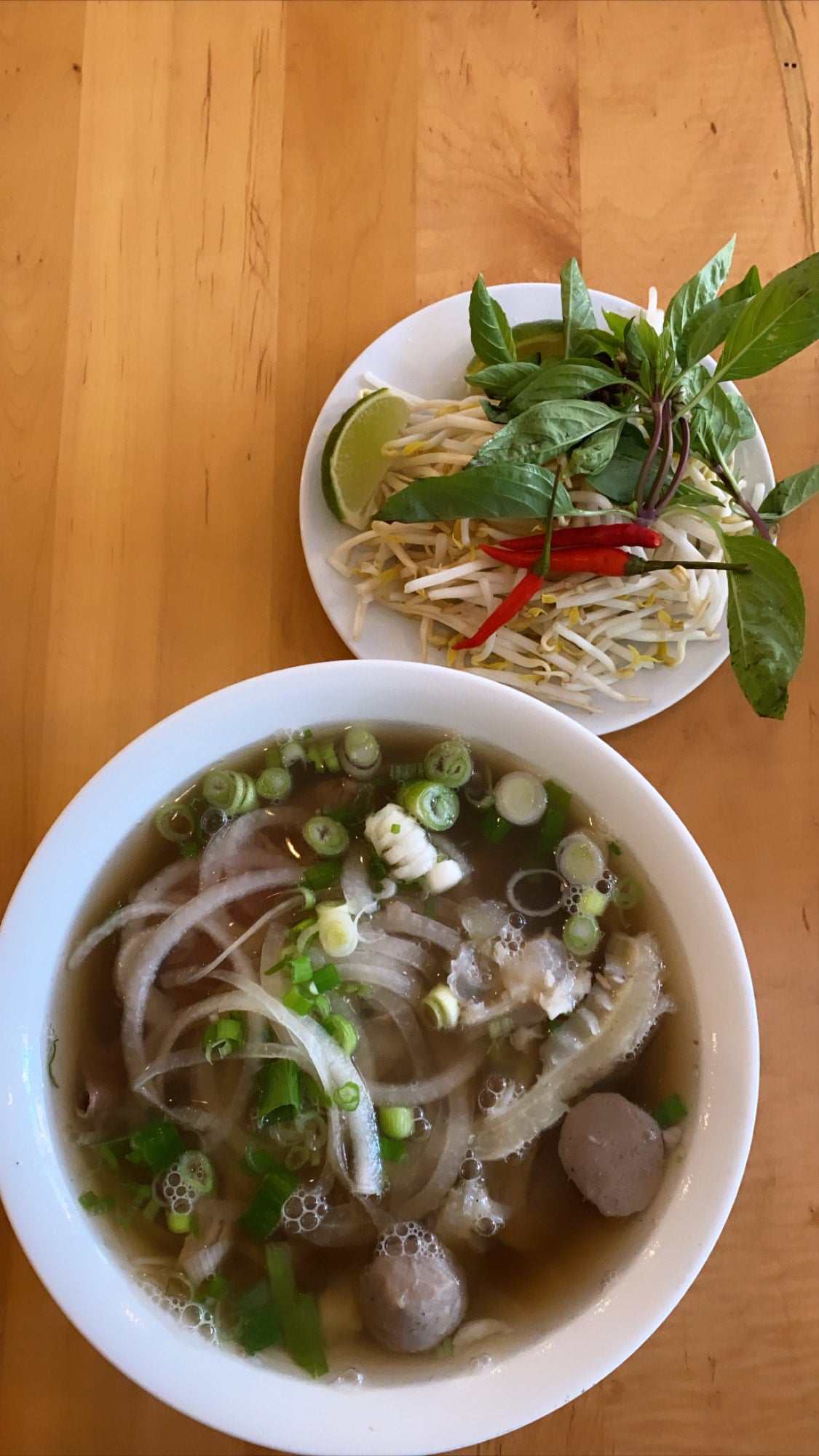 House Special Noodle Soup